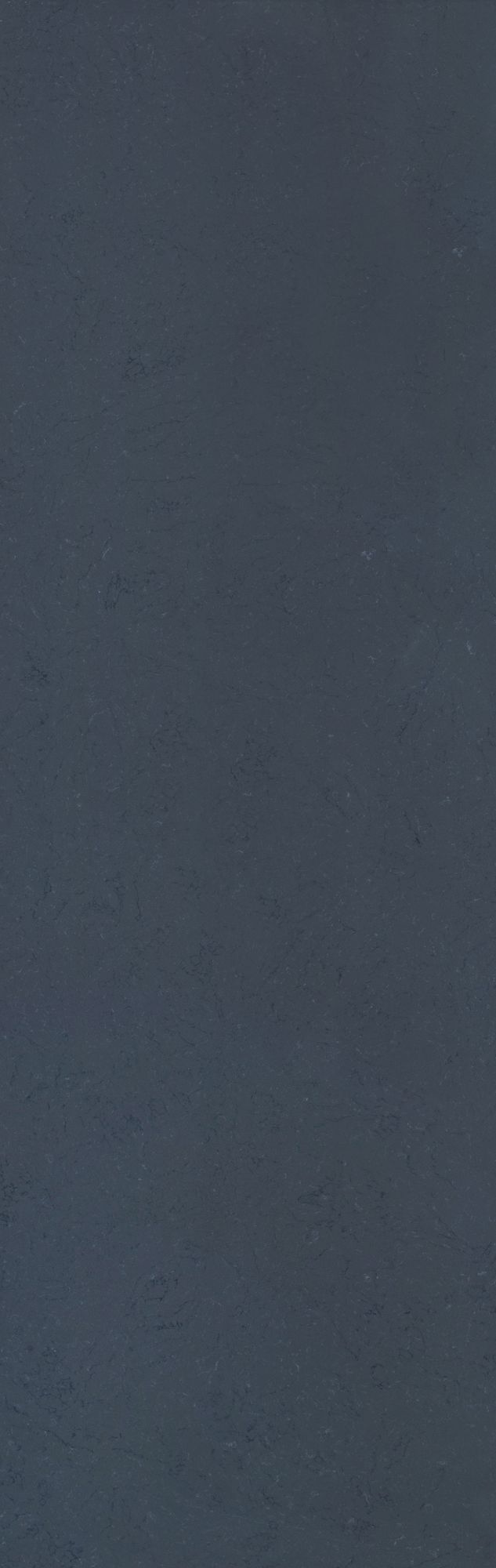 線紋系列